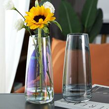花瓶ins风高颜值玻璃水养透明轻奢简约北欧家居摆件客厅干花插花