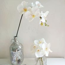 高品質手感單頭白色蝴蝶蘭仿真花客廳婚禮假花單只/束餐桌裝飾花