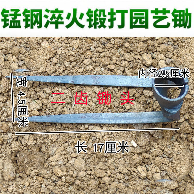 二齿锄头