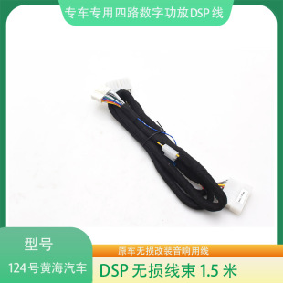 124#�S����܇N2/N3DSP���ž�����܇��푸��b�B�Ӿ�Ӱ���o�p���b��