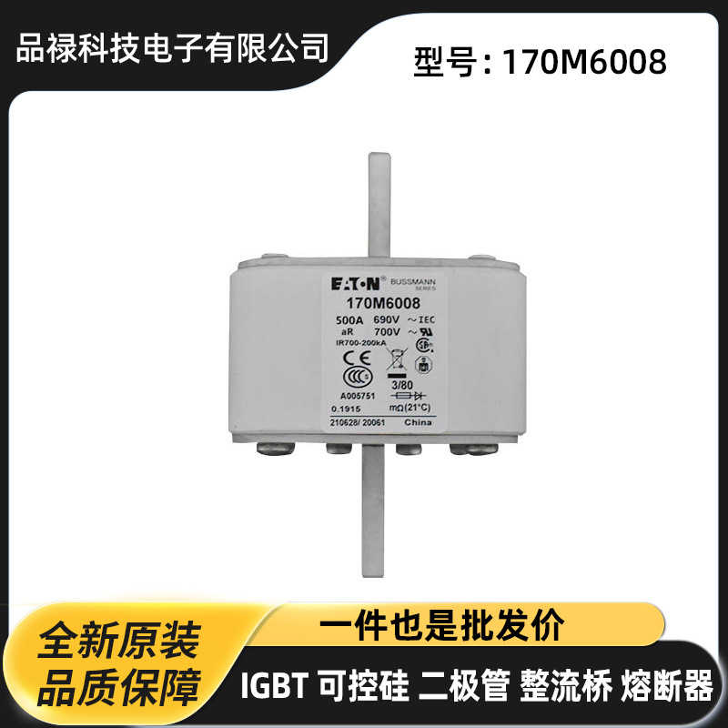 170M6008 170M6020 170M6080原装高压快速熔断器 保险丝阻燃