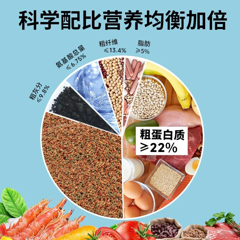 ピーコック食小粒信号灯小型魚糧闘魚金魚観賞熱帯魚食通用型魚飼料|undefined