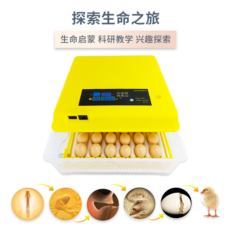 42 Unidades de doble potencia rodillo inteligente incubadora automática pequeño hogar pollo pato codorniz paloma incubadora