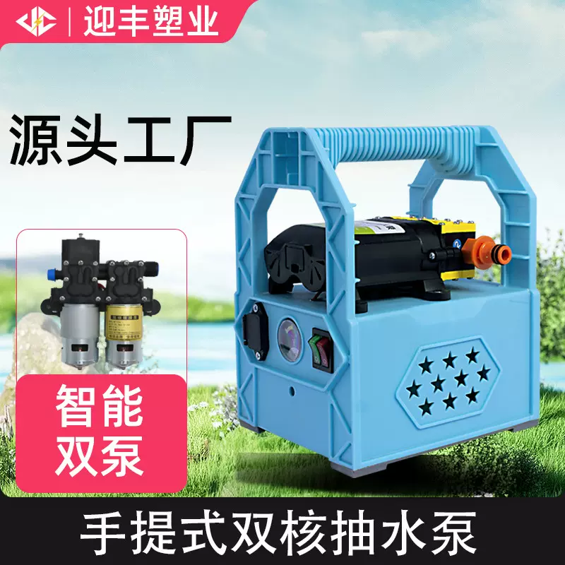 手提式高压电动喷洗机双泵打药机智能大功率手提喷雾器