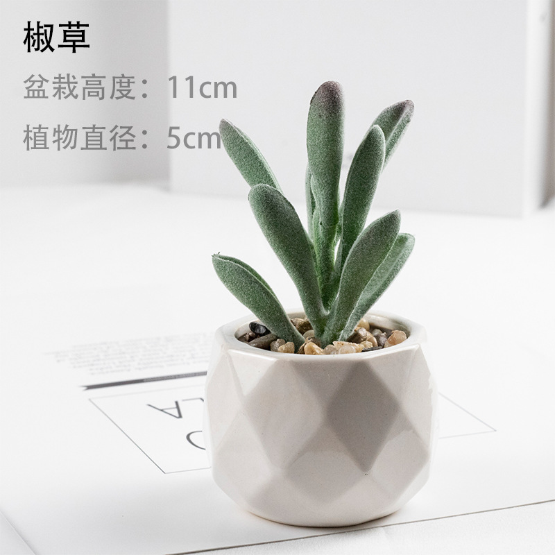 페퍼그라스 + 세라믹 세면대