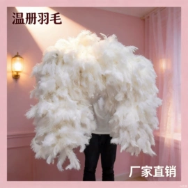 花边;羽毛、羽绒;饰品配件