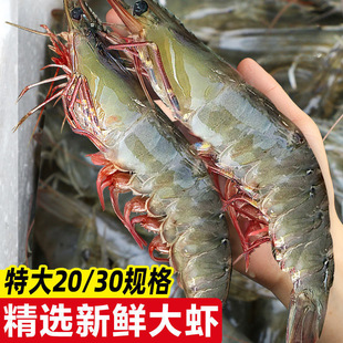 ��Ʒ������r�ش����r���r�S��������r���r���r�����rһ�������l