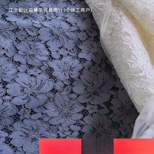 进口车骨线立体重磅蕾丝布料波浪边礼服连衣裙服装面料走秀款