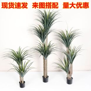 ������Ѫ�������ؼپGֲ�����҃ȿ͏d�b[�������m��ֲ���쾰