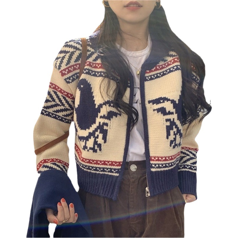 Chaqueta corta tipo suéter para mujeres pequeñas, otoño 2023, nuevo estilo japonés vintage, cárdigan de punto holgado de manga larga.