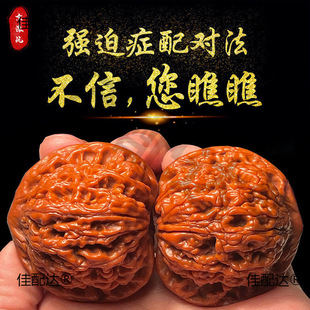 �O���@��֮�w������ҳߴ����������ִ��y�����ղذ�����ִ�