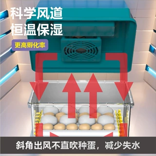 跨境外贸孵蛋器鸡蛋芦丁柯尔鸭孵化器全自动智能孵化机孵蛋器