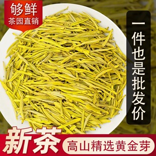 �������^�S�� ����ζ�� �´��� �S��ѿ��ѿ  �G����~���l