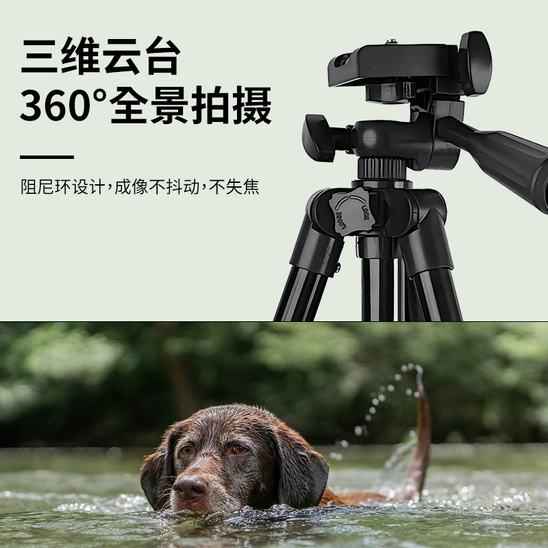 Trípode de cámara SLR, artefacto de transmisión en vivo de piso, tripod31203110, soporte para teléfono móvil, proyector, trípode