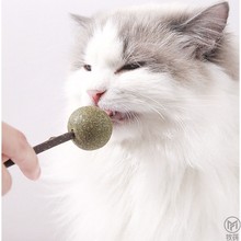 猫薄荷棒棒糖球棒棒糖木天蓼磨牙棒饼干乐猫咪零食逗猫棒玩具用品