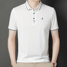 2025���bɣ�Q�z����t����������ʿ���e��ɫ���z���Ipolo��