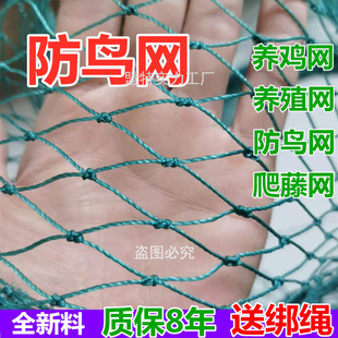 ���B�þW�Bֳ��W���@�W�������W�~���W���ѾW���ҾW����W