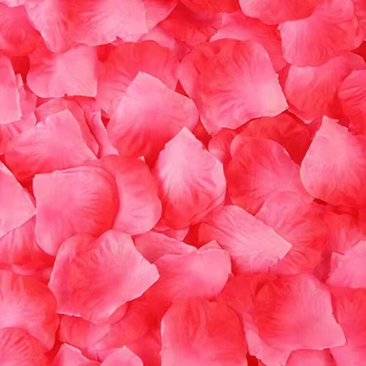 花びらの結婚式の結婚部屋にバラの花びらの結婚祝い用品のロマンチックな雰囲気をシミュレーションします。|undefined