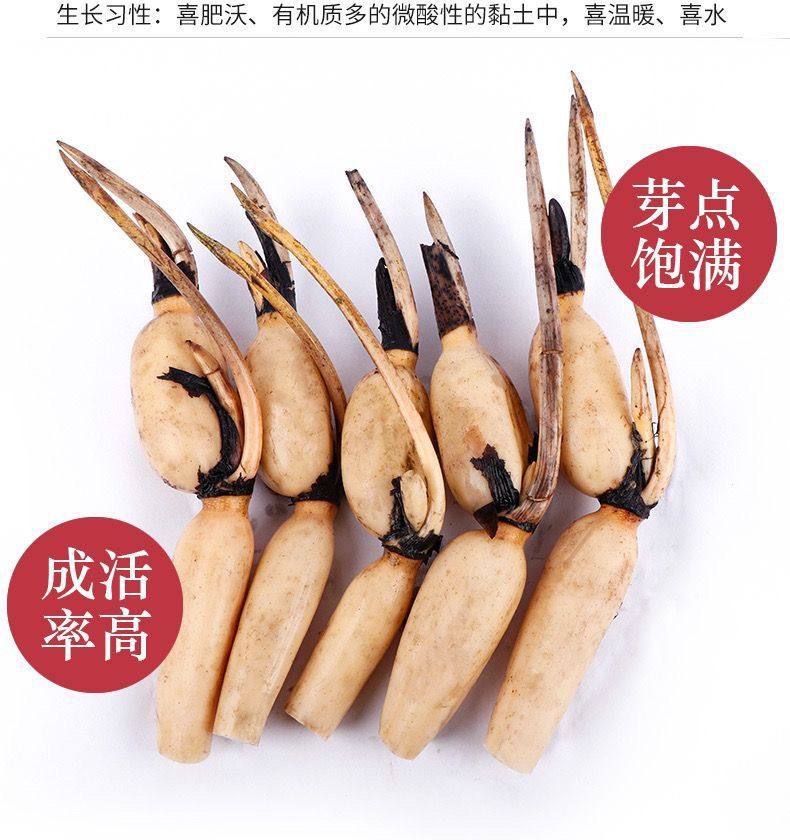 83fb8c71-f762-4f84-b8d2-89e239903aab.jpe