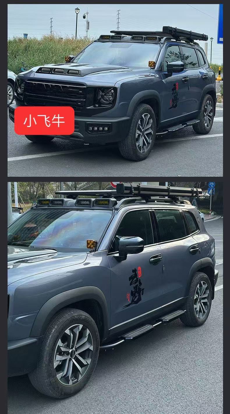Haval Raptor Side Pedal Modification for Large Dog Welcome Pedal Fixed Two Dog Foot Pedal Welcome Side Pedal Modification