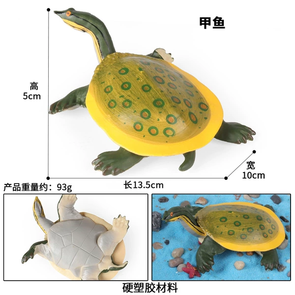 M-3377 yellow back turtle