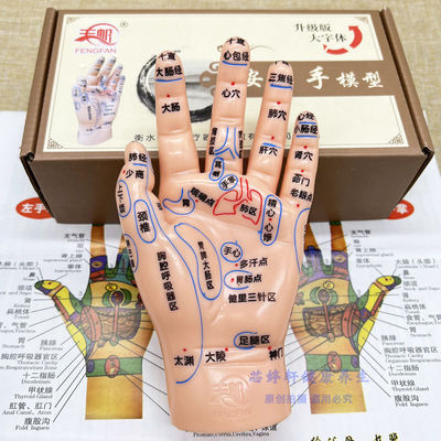17cm Hand massage Reflex zones acupoint Model Ultra-clear softness Lettering Shoumo Left 19 centimeter