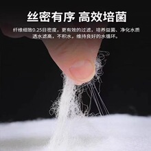 ���l�~���^�V�޲������ߝB͸����ˮ�|�~��ѭ�h�^�V�ɼ����^�V��
