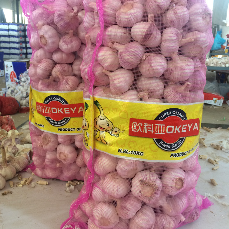 工厂直供大蒜出口中东非洲，10kg 网袋欢迎咨询