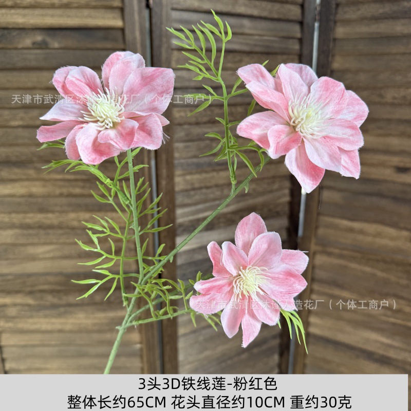 3D 클레마티스