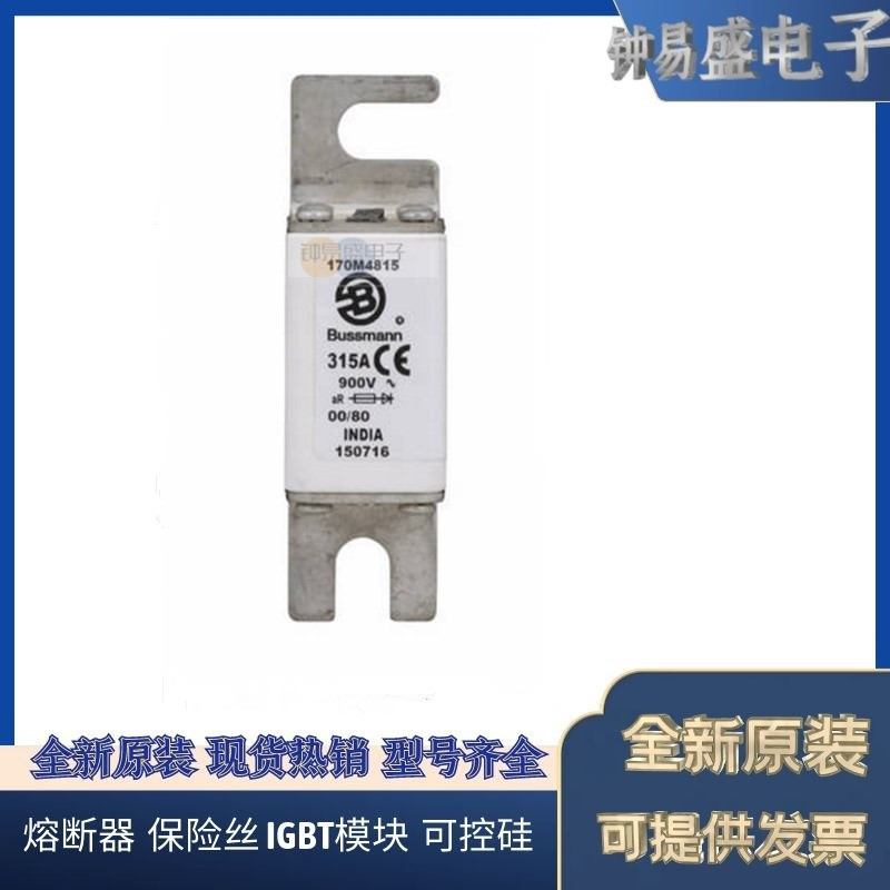 美国BUSSMANN熔断器170M5196 170M5197  170M5198 巴斯曼熔断器