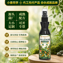 源头工厂金鱼吊兰专用营养液促开花爆盆防黄叶掉花苞免稀释液体肥