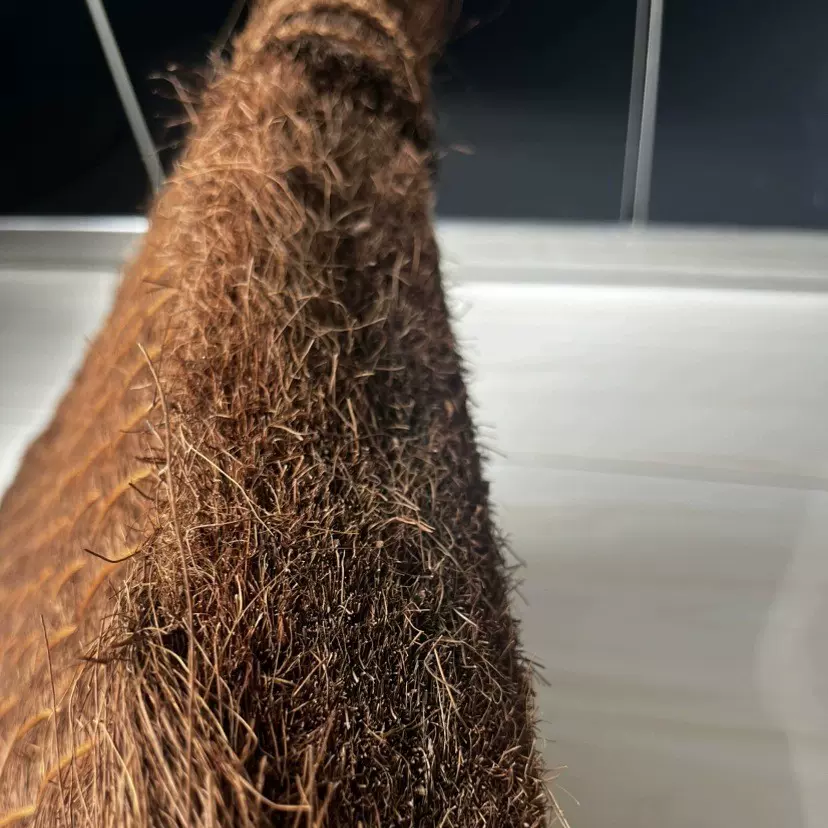 高级高定棕垫全头丝无胶水无甲醛健康环保