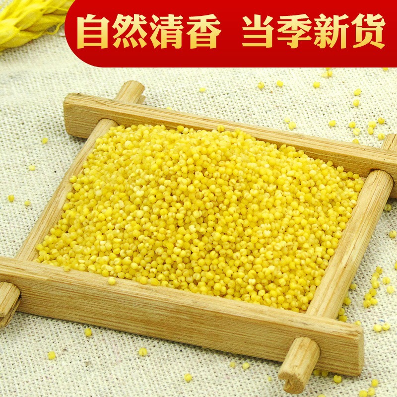 XinHongHe Northeast organic yellow millet 500g new millet manufacturer wholesale confinement food small yellow millet bulk wholesale