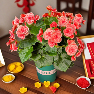 �ļ��_��������õ�庣�Ď����k����ֲ���҃��������Ի����̨�S