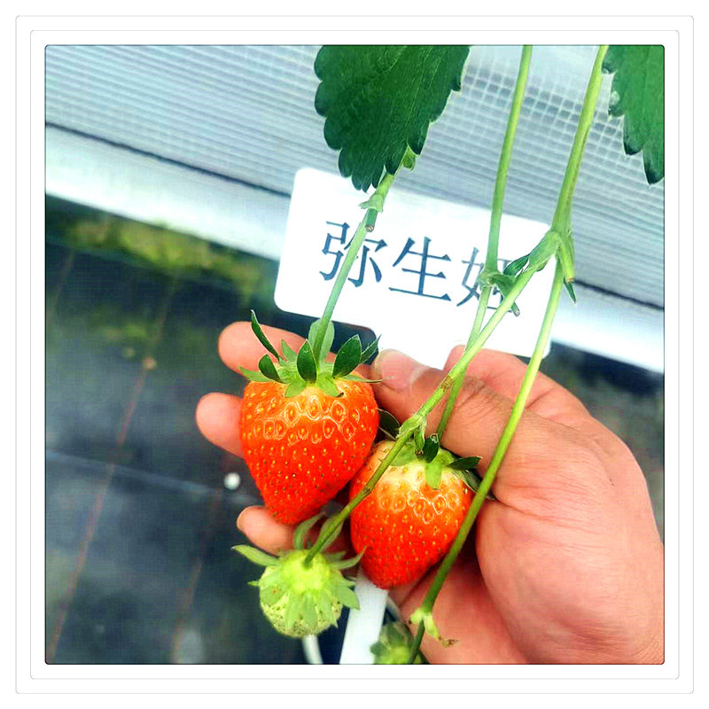 e5990c7bdc260d70a2d7397d17792b