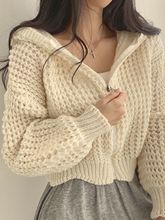韩国春秋慵懒风连帽短款毛衣外套女设计感粗针翻领宽松针织衫