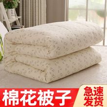 新疆棉花被子被芯盖被单人双人学生宿舍秋冬加厚冬季棉被被子保暖