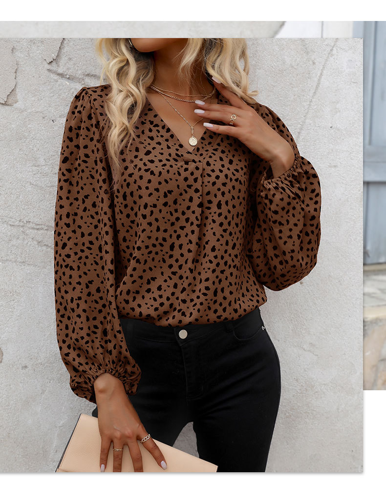 Casual Leopard Polyester V Neck Long Sleeve Regular Sleeve Printing Blouse