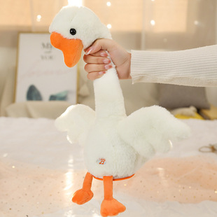 ����ɳ�����Z��ż�≺ë�q��ߌW�fԒ������Ů���նY��늄ӹ���