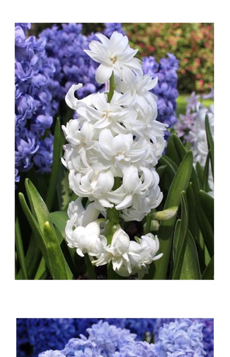 YJH_一键复制_20240722221433