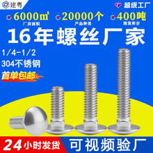 Ӣ304P䓰A^iR܇˨R܇^ݽz˨lM5/M6/M8