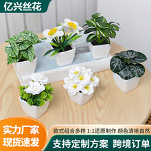 �������Լٻ��辰���W�Gɫֲ���̈��b͏d�����k���҃����Ԕ[��