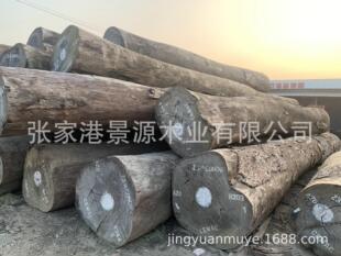 �t�Fľԭľ ��ڏ��t�Fľ���޼t���}���Rľ�A�� �Ž����߼ӹ�