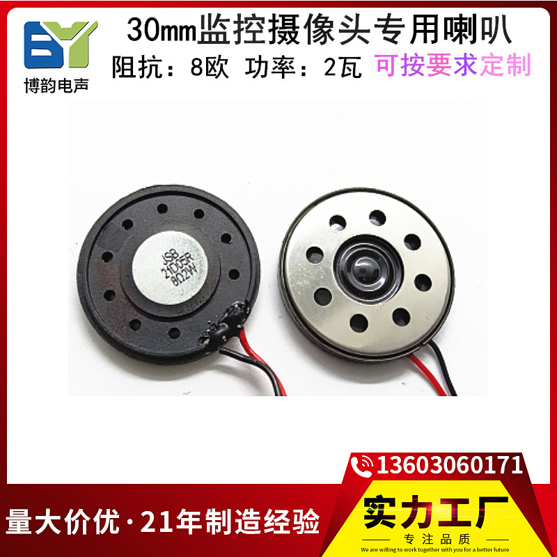 30mm speaker 8 euro 1 Watt 2 Watt surveillance camera Bluetooth voice speaker reading Pen Audio Myra speaker