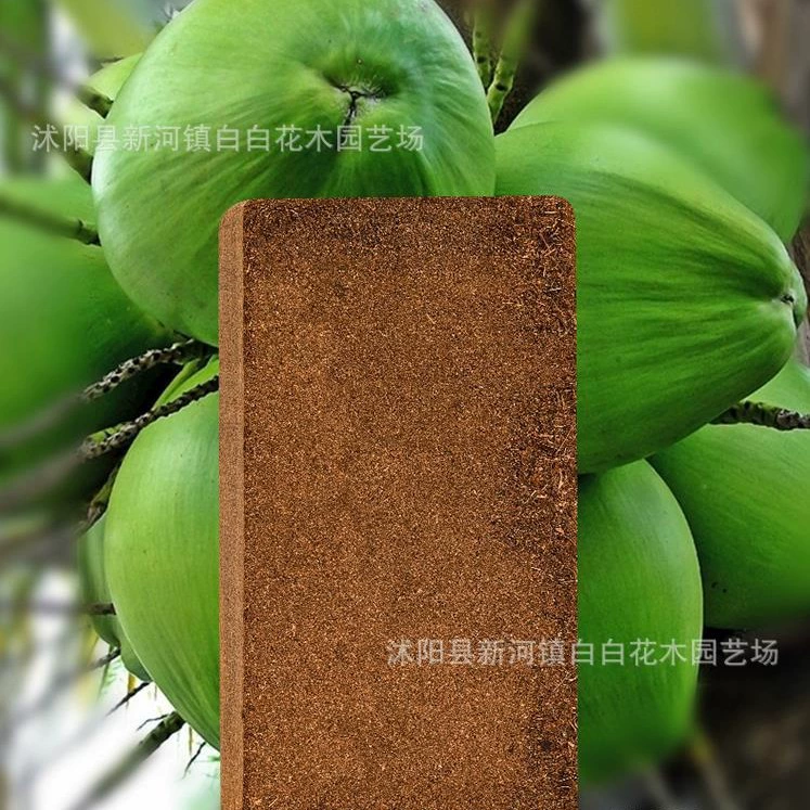 Кокосовый кирпич питательная почва соответствующая почва сочная почва посадка цветов и овощей почвенная посадка почва кокосовые отруби почва цветок грязь цветочный горшок посадка почвы