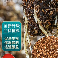 �m����I�B�����B������͸��ɼľ���˷��ϰl��