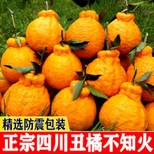 【 停售 】丑橘不知火丑柑丑八怪橘子新鲜水果当季桔子柑橘丑桔