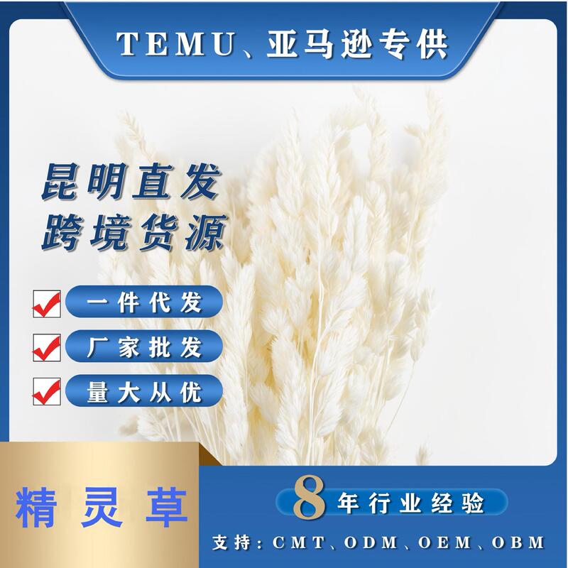 Elf Grass Dried Flowers Yunnan Dried Flower Manufacturer Wholesale Amazon Hot-Selling Natural Bohemian Dried Flowers Home Decoration