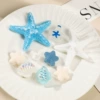 Gem Starfish (9-piece set does not include shoes)