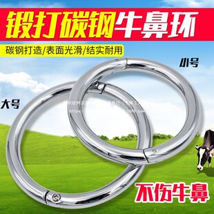 ţ�ǭh����ţ��Ȧ�Ӻ��̖ţ�Ǡ����h�����۲��P䓰��b�Qţ��˨